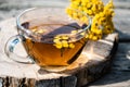 Tansy infusion in a glass cup on a wooden table. Tansy Herbal tea. Healing herbs