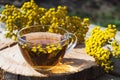 Tansy infusion in a glass cup and yellow tansy flowers on a wooden table. Tansy Herbal tea. Healing herbs