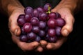 Tantalizing Male hand holding grape fruit. Generate ai