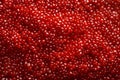 Tantalizing Red caviar. Generate Ai