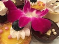 Tantalizing Tarts & Desserts Royalty Free Stock Photo
