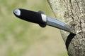 Tanto knife stuck in tree Royalty Free Stock Photo