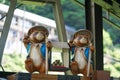 Tanuki statues. Tanuki is a Japanese animal looks like a raccoon Royalty Free Stock Photo