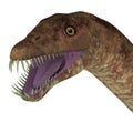 Tanystropheus Dinosaur Head Royalty Free Stock Photo