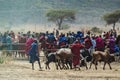 Tanzania, Africa, animal and landscape, people Royalty Free Stock Photo