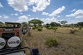 Safari vehicle traffic jam in Tarangire National Park as tourists view an elephant in the wild