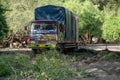 TANZANIA, ARUSHA - JAN 2020: Heavy Cargo Truck Stuck on the Sandy Road in Africa. Putting BranchesUnder Wheels at