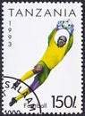 TANZANIA - CIRCA 1993: a postage stamp from TANZANIA, showing a goalkeeper catching the ball in flight during a soccer Royalty Free Stock Photo