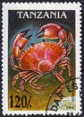 TANZANIA - CIRCA 1994: a postage stamp from TANZANIA, showing a Opie Crayfish Chionoecetes opilio . Circa 1994