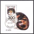 TANZANIA - circa 1994: TANZANIA - circa 1992: stamp printed in Tanzania showing a European cat, circa 1992