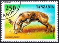 TANZANIA - CIRCA 1995: A stamp printed in Tanzania shows African wild dog Lycaon pictus illustration., circa 1995