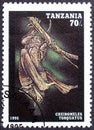 TANZANIA - CIRCA 1995: A stamp printed in Tanzania shows Cheiromeles torquatus, Bats serie, circa 1995