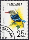 TANZANIA - CIRCA 1992: A stamp printed in Tanzania shows grey - headed kingfisher, circa 1992