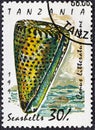 TANZANIA - CIRCA 1992: A stamp printed in Tanzania shows Lettered Cone Conus literatus , Sea snails and mussels serie, circa 1992