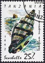 TANZANIA - CIRCA 1992: A stamp printed in Tanzania shows Rugose Mitre Vexillum rugosum , Sea snails and mussels serie Royalty Free Stock Photo