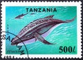 TANZANIA - CIRCA 1994: A stamp printed in Tanzania shows Whale Cetacea , Endangered Species serie, circa 1994