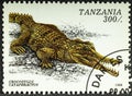 TANZANIA - CIRCA 1996: A stamp printed in Tanzania depicts a Crocodylus Cataphractus crocodile, circa 1996