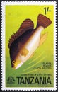 TANZANIA - CIRCA 1977: A stamp printed in Tanzania shows a fish Tilapia Nilotica circa 1977.