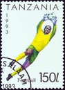 TANZANIA - CIRCA 1993: A stamp printed in Tanzania shows a football goalkeeper, circa 1993.