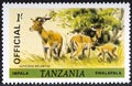 TANZANIA - CIRCA 1985: A stamp printed in Tanzania shows Impala Aepyceros melampus , Animals serie, circa 1985