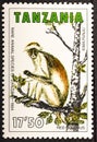 TANZANIA - CIRCA 1985: a stamp printed in Tanzania shows Red Colobus, Piliocolobus, Old World Monkey, circa 1985