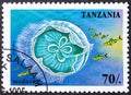 TANZANIA - CIRCA 1995: A Tanzania stamp shows medusa underwater. Circa 1995. Canceled by seal...