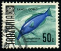 Stamp 50 Tanzanian senti printed by Tanzania shows animal fish Green Birdmouth Wrasse Gomphosus caeruleus Royalty Free Stock Photo