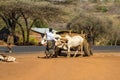 Tanzania Country Life