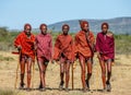 Group of young Masai warriors are walking along the savannah in traditional clothing.