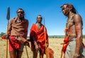 Three young Masai warriors in traditional clothes and weapons are standing in the savannah.