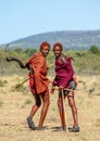 Two young Masai warriors in traditional clothes and weapons are walking in the savannah.