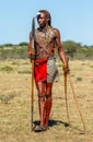 Young Masai warrior is standing in traditional clothing with a spear in the savannah.