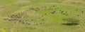 Tanzania - Ngorongoro Conservation Area Royalty Free Stock Photo