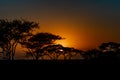 Tanzania, Africa, animal and landscape, sunset, sunrise Royalty Free Stock Photo