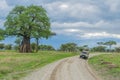 Tanzania - Tarangire National Park