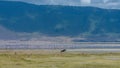 Tanzania, view of the Ngorongoro crater