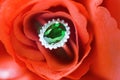 Tanzanian tsavorite green garnet oval gemstone rare colour Dark green floating ring with diamond Placed on red roses