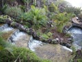 Taoro Park (Puerto de la Cruz, Tenerife, Canary Islands, Spain) Royalty Free Stock Photo