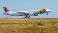 TAP Air Portugal plane Airbus Airbus A330-941