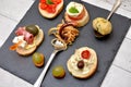 Tapas appetizer with italian ingredients mozzarella cheese tomatoes gorgonzola salami olive octopuss bread Royalty Free Stock Photo