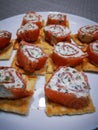 Tapas, homemade snack made of salmon and cheese and bread squares on a white plate