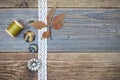 Tape lace, button, reel thread and herbarium Royalty Free Stock Photo