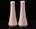 Tapered cylindrical light brown salt and papper shakers Royalty Free Stock Photo