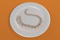 Tapeworm on plate