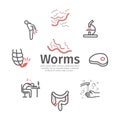 Tapeworms banner. Symptoms. Line icons set. Vector signs for web graphics.