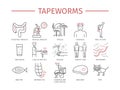 Tapeworms. Symptoms, Treatment. Line icons set.
