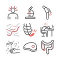 Tapeworms. Symptoms. Line icons set. Vector signs for web graphics.