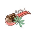 Tapioca black pearls for bubble tea isolated. Hand drawn illustration of Tapioca balls In cartoon. Spoon of Tapioca balls. Tapioca