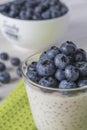 Tapioca blueberry pudding