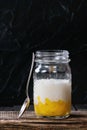 Tapioca dessert with mango Royalty Free Stock Photo